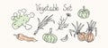Vector Set of vegetables in the style of doodle. Drawn vegetables. Royalty Free Stock Photo